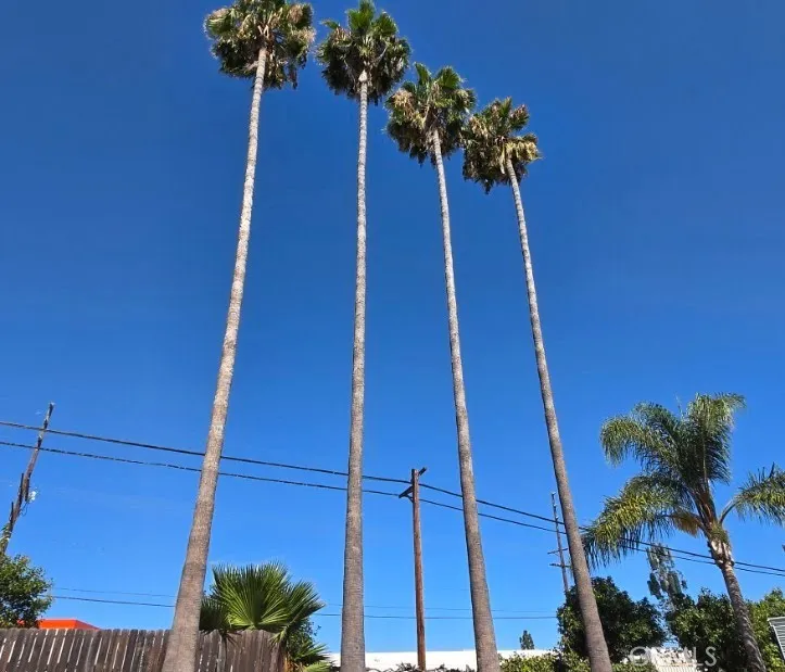 17001 Cantara Lake Balboa, CA 91406