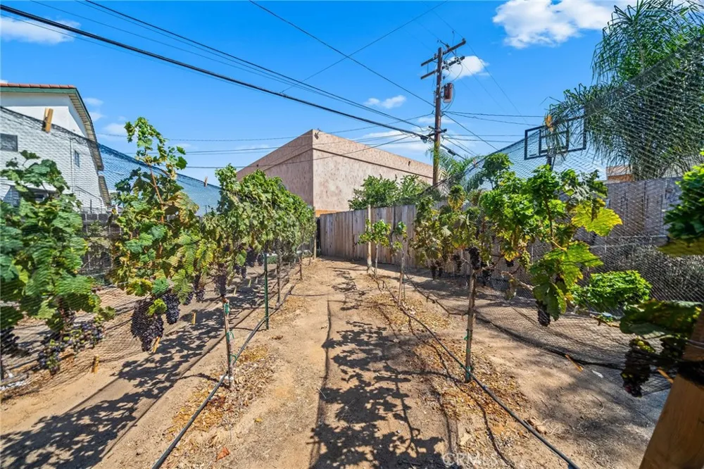 545 D STREET Ramona, CA 92065