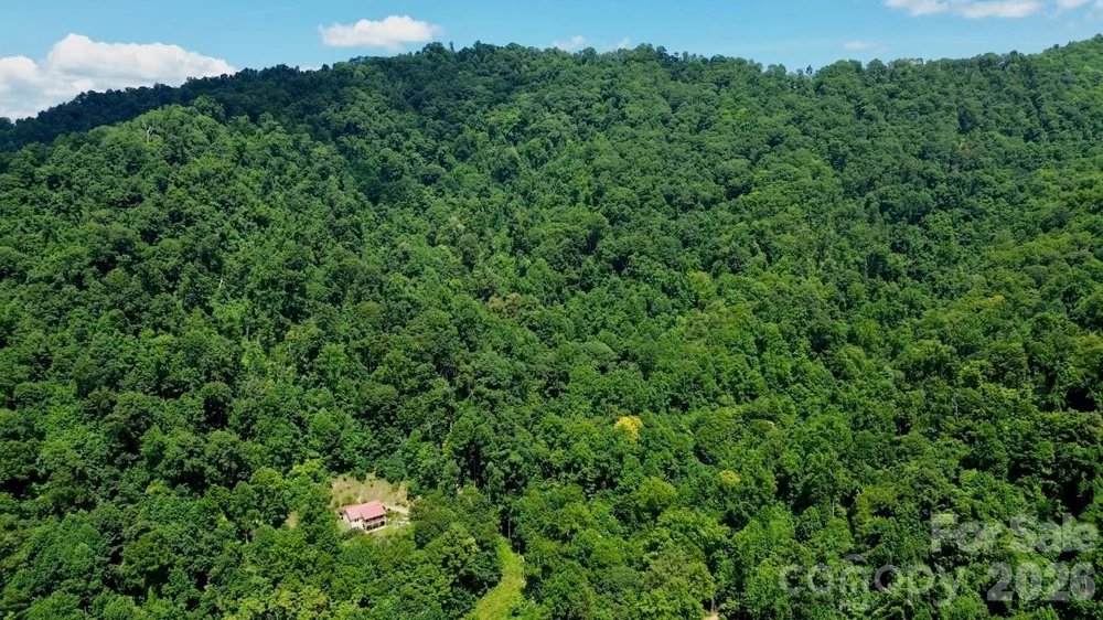280 Kelses Valley Drive Mars Hill, NC 28754