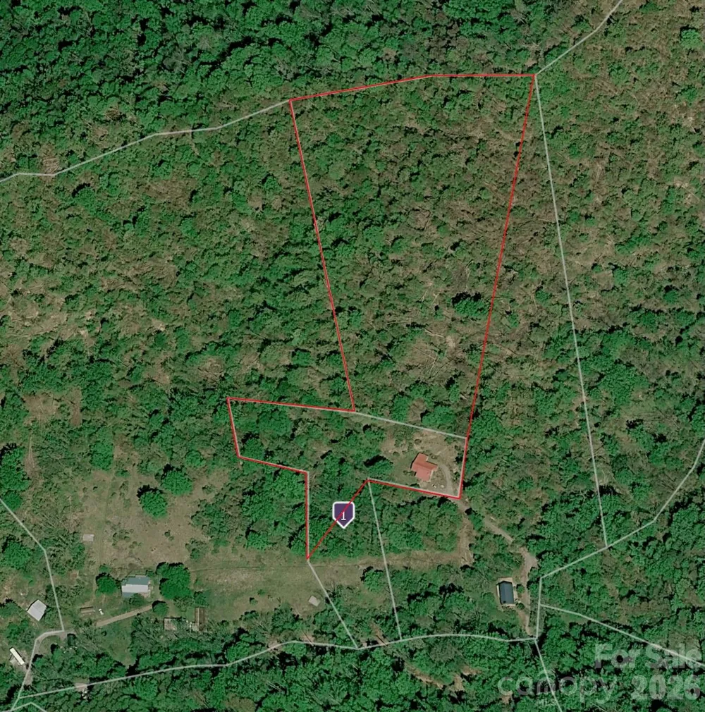 280 Kelses Valley Drive Mars Hill, NC 28754