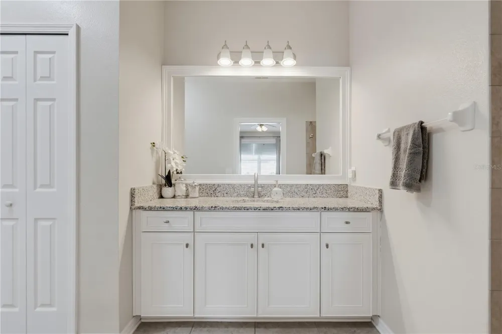 7903 LAGO MIST WAY Wesley Chapel, FL 33545