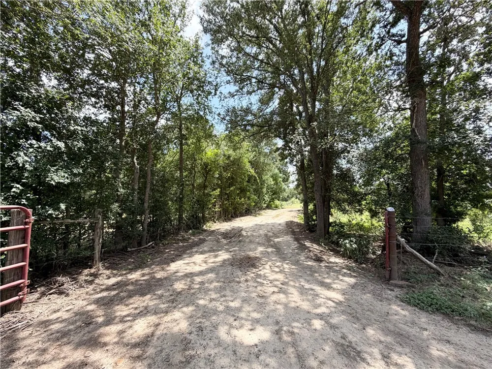 100 State Highway 36 S Caldwell, TX 77836