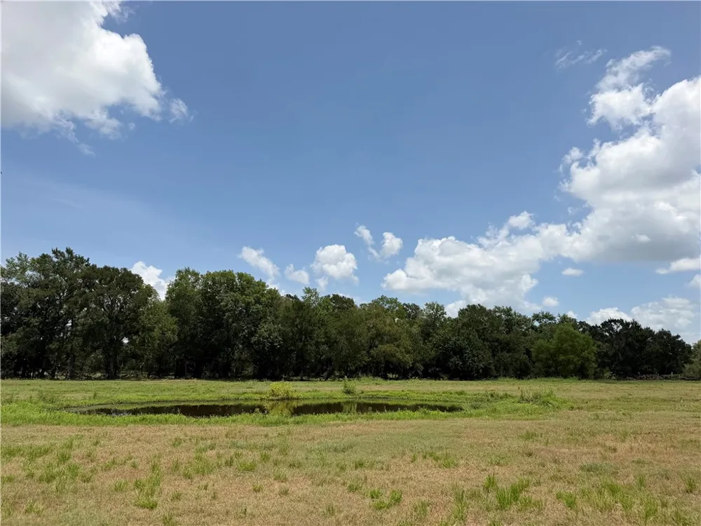 100 State Highway 36 S Caldwell, TX 77836