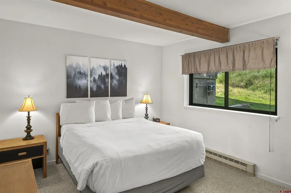 11 Hunter Hill Road #202 Crested Butte, CO 81225