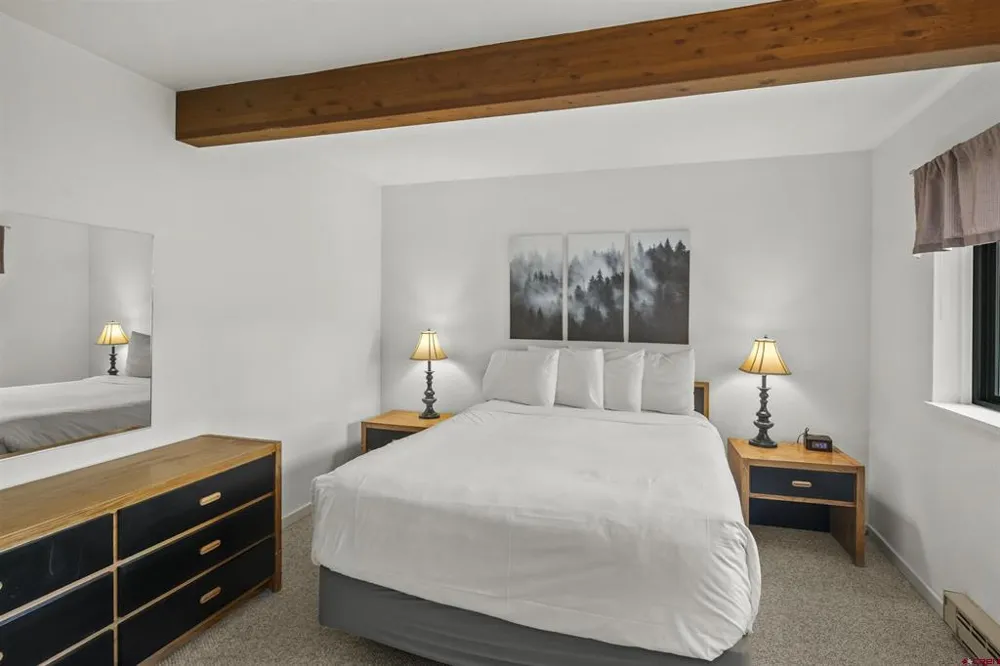 11 Hunter Hill Road #202 Crested Butte, CO 81225