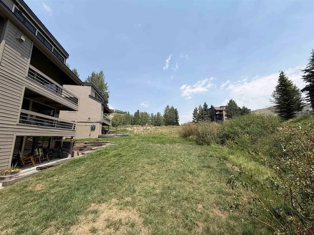 11 Hunter Hill Road #202 Crested Butte, CO 81225