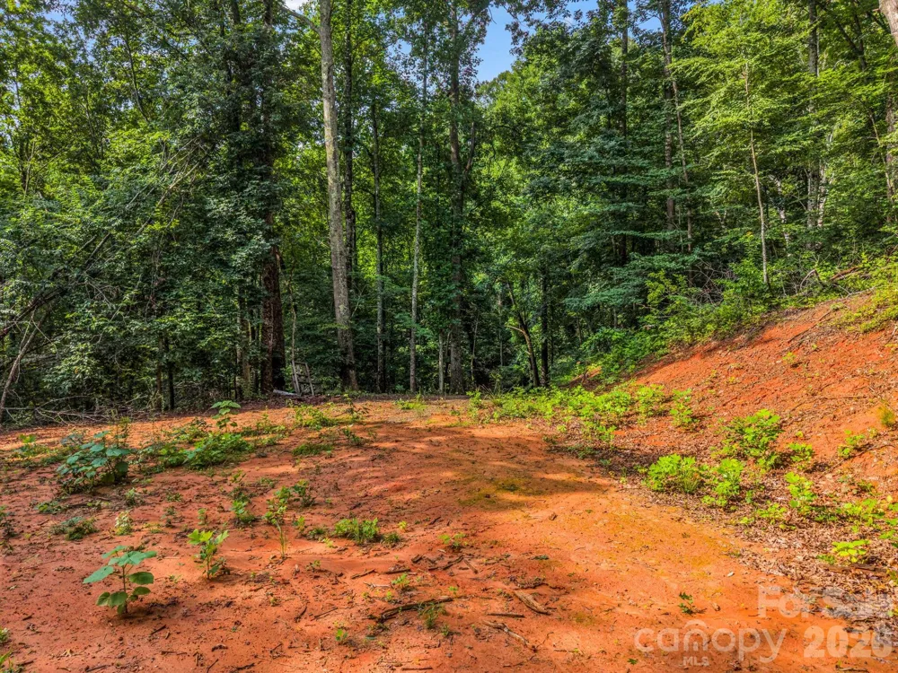 00 Kema Road #6 Swannanoa, NC 28778