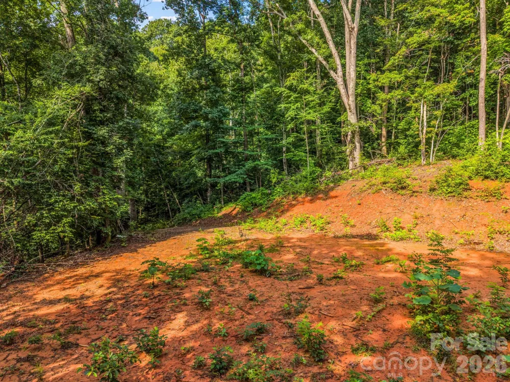 00 Kema Road #6 Swannanoa, NC 28778