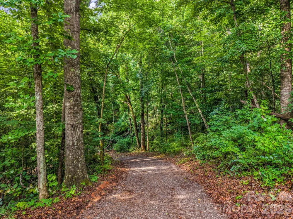 00 Kema Road #6 Swannanoa, NC 28778
