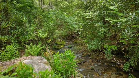 685 Gold Mine Road