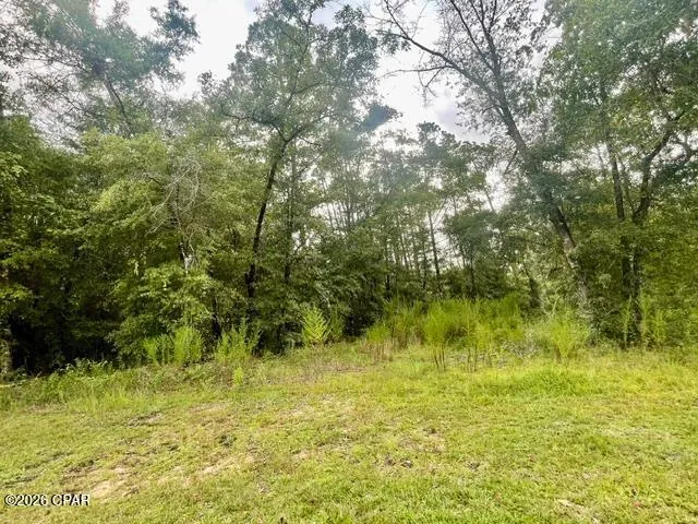 View Drive Alford, FL 32420