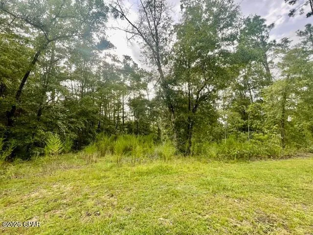 View Drive Alford, FL 32420