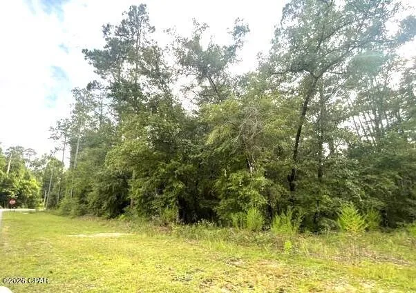 View Drive Alford, FL 32420