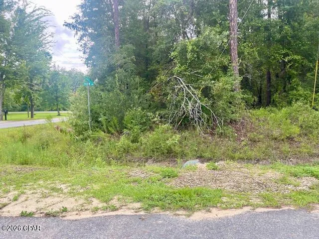 View Drive Alford, FL 32420