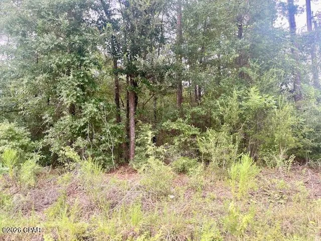 View Drive Alford, FL 32420
