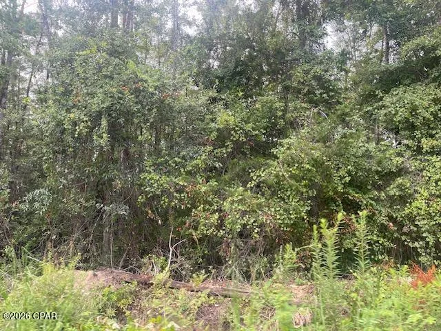View Drive Alford, FL 32420