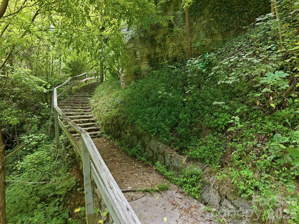 146 Chestnut Walk Drive Waynesville, NC 28786