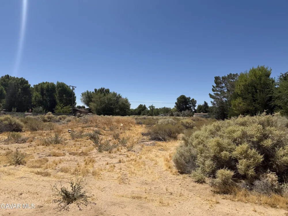 16844 Mountain Avenue North Edwards, CA 93523