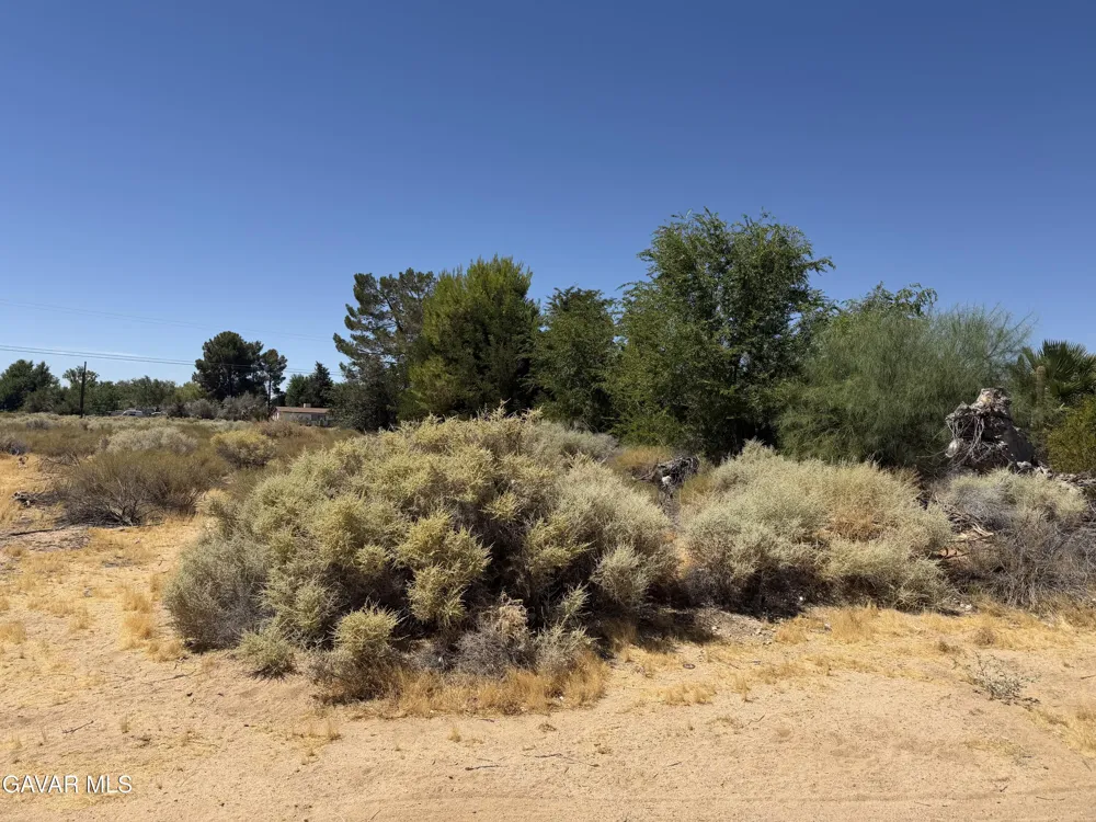 16844 Mountain Avenue North Edwards, CA 93523
