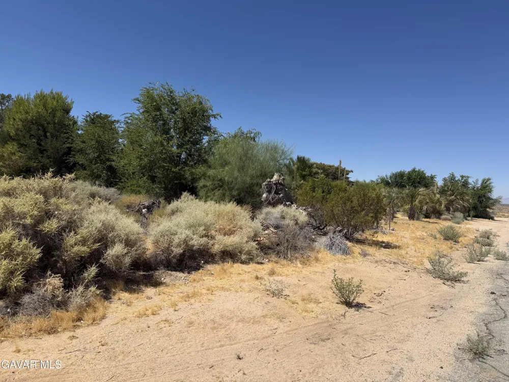 16844 Mountain Avenue North Edwards, CA 93523