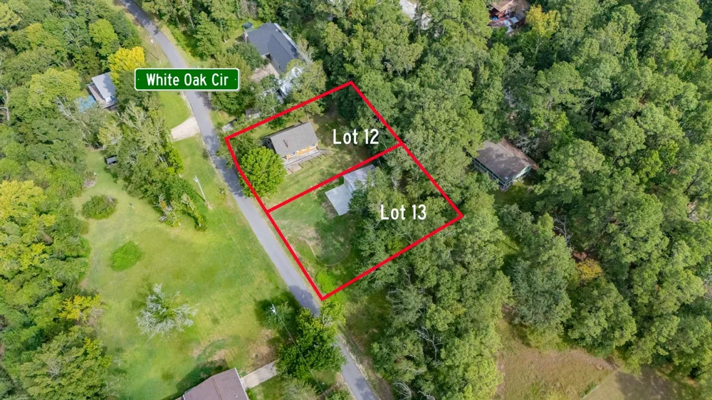 161 White Oak Street Point Blank, TX 77364
