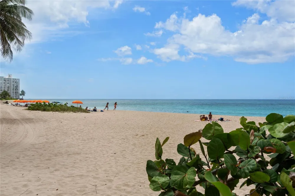 107 TAFT #5 San Juan, PR 00911