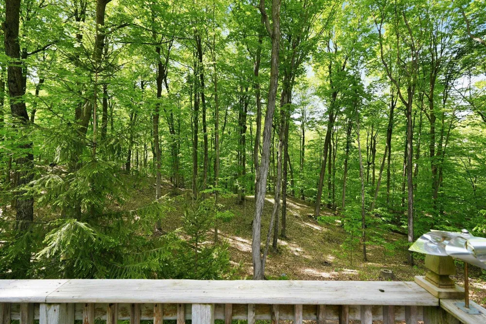 10481 S Monaco Way Elmwood Charter Township, MI 49684