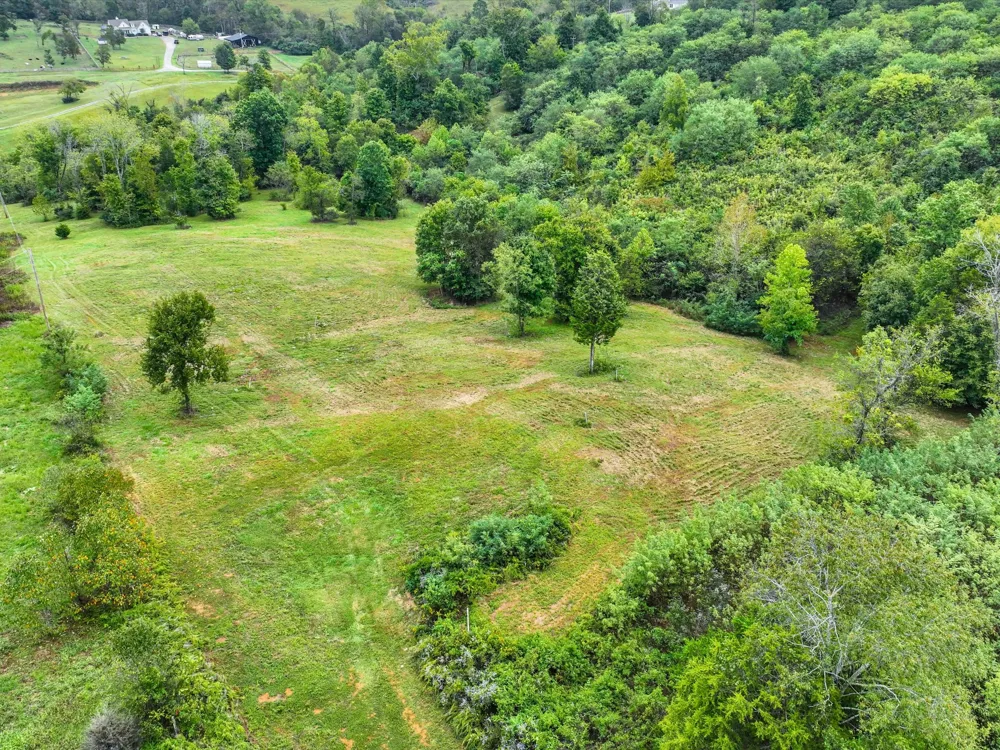 1384 Cliff Amos Rd Spring Hill, TN 37174