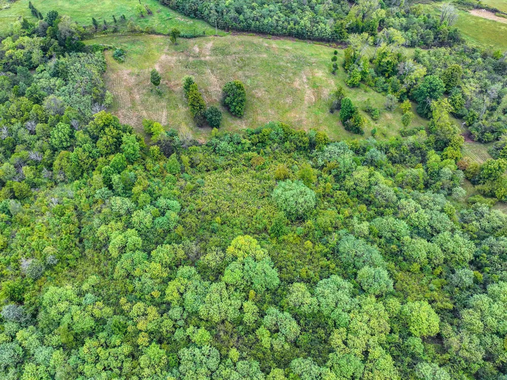 1384 Cliff Amos Rd Spring Hill, TN 37174