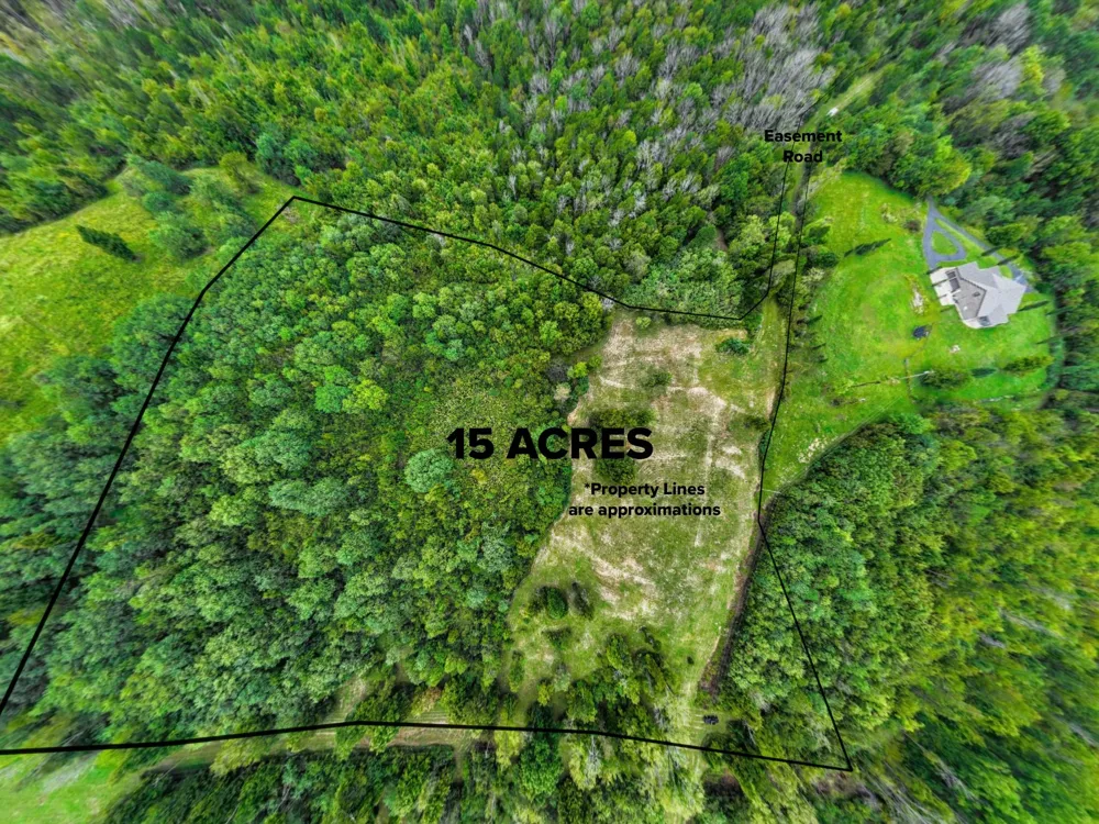 1384 Cliff Amos Rd Spring Hill, TN 37174