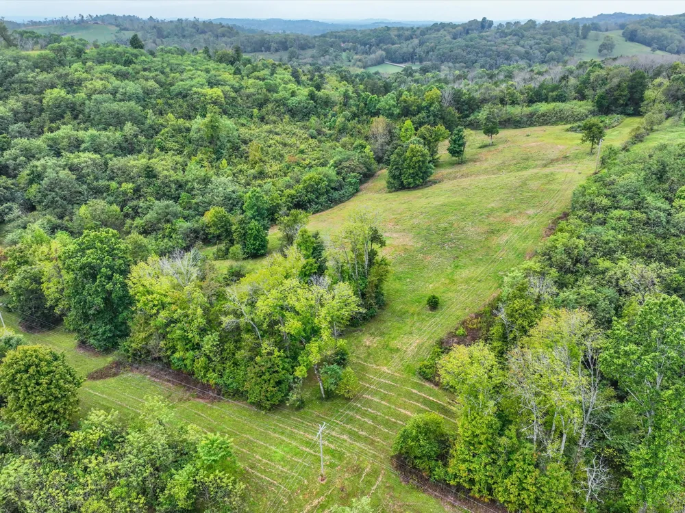 1384 Cliff Amos Rd Spring Hill, TN 37174