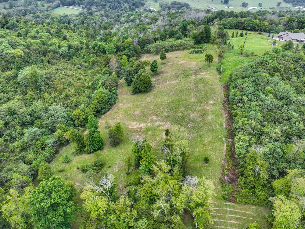 1384 Cliff Amos Rd Spring Hill, TN 37174