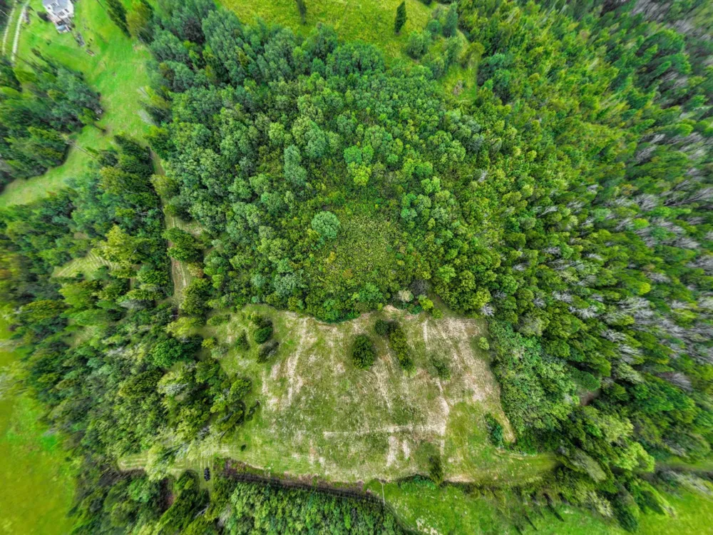 1384 Cliff Amos Rd Spring Hill, TN 37174