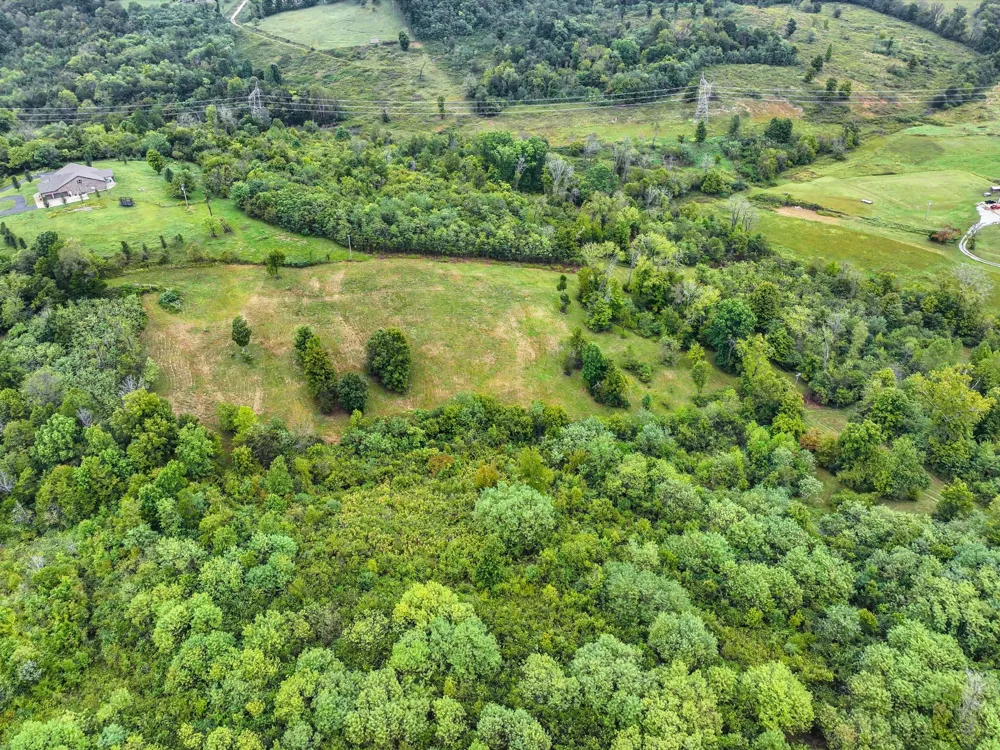 1384 Cliff Amos Rd Spring Hill, TN 37174
