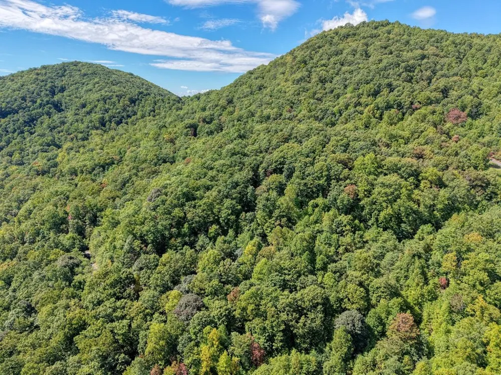 Lot 35 Overlook At Y. H. Young Harris, GA 30582