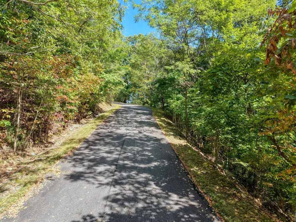 Lot 35 Overlook At Y. H. Young Harris, GA 30582