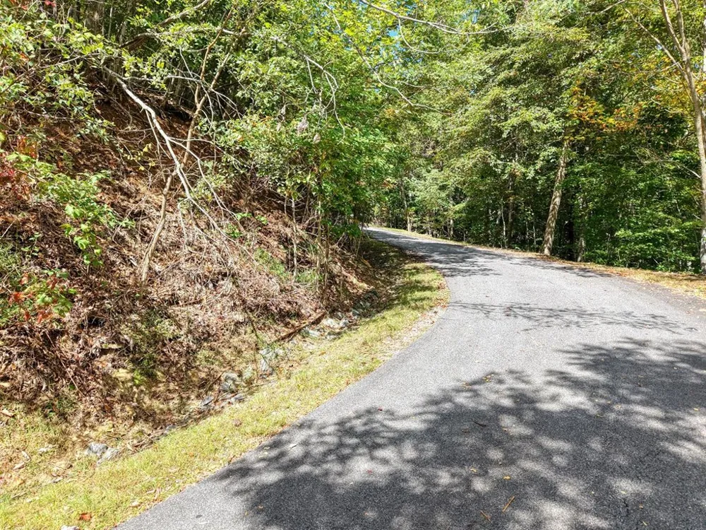 Lot 35 Overlook At Y. H. Young Harris, GA 30582