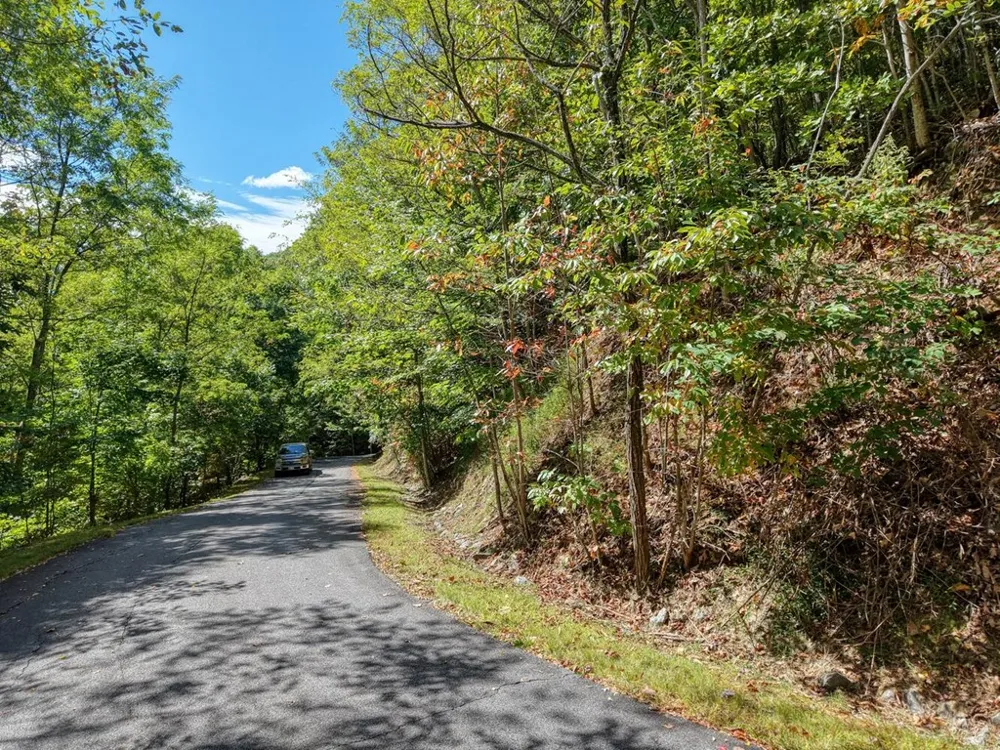 Lot 35 Overlook At Y. H. Young Harris, GA 30582