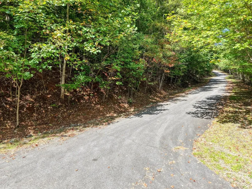 Lot 35 Overlook At Y. H. Young Harris, GA 30582