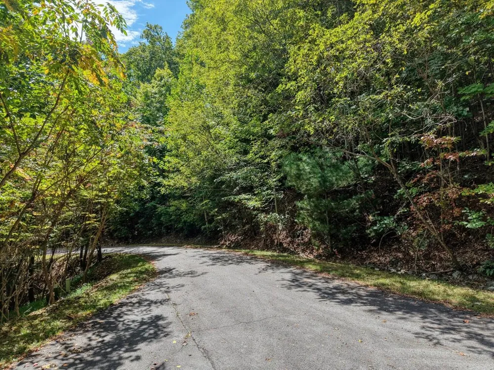 Lot 35 Overlook At Y. H. Young Harris, GA 30582