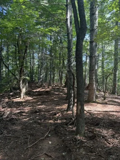 Wayah Road Franklin, NC 28734
