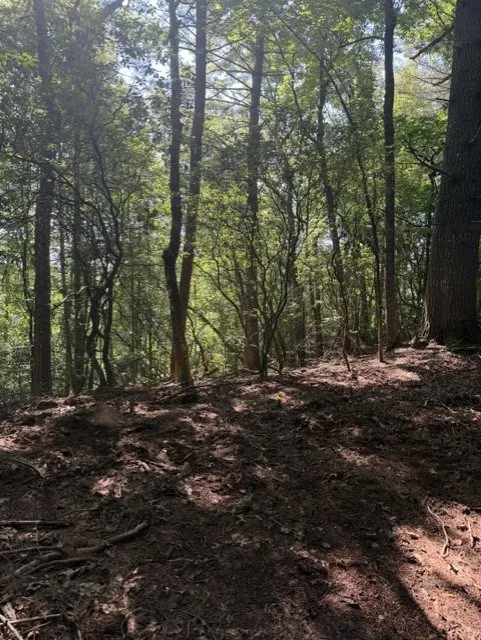 Wayah Road Franklin, NC 28734