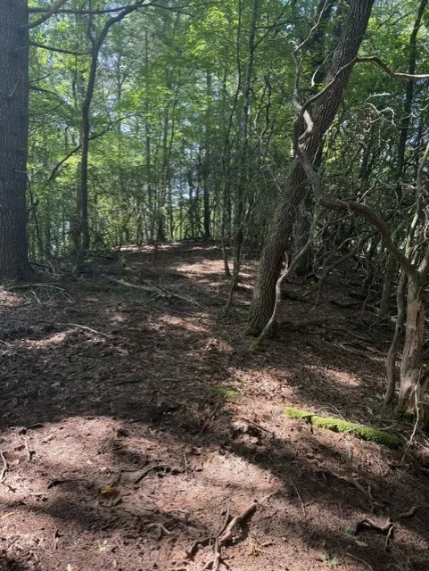 Wayah Road Franklin, NC 28734