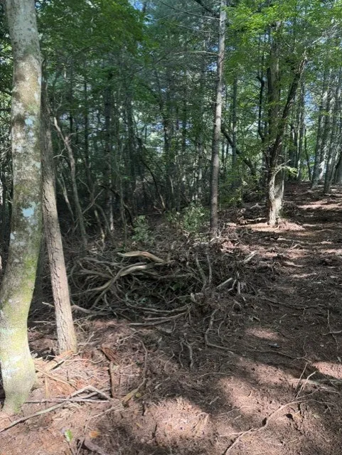 Wayah Road Franklin, NC 28734
