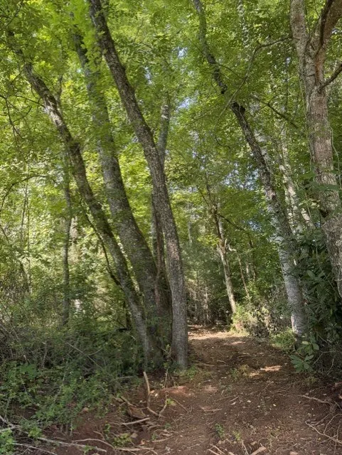Wayah Road Franklin, NC 28734