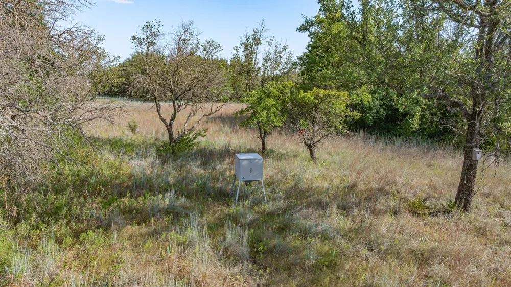 523 Ava Grace Lane Dublin, TX 76446