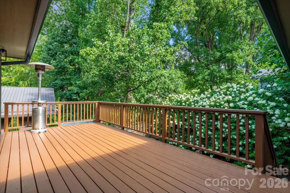 10 Davenport Place Asheville, NC 28806