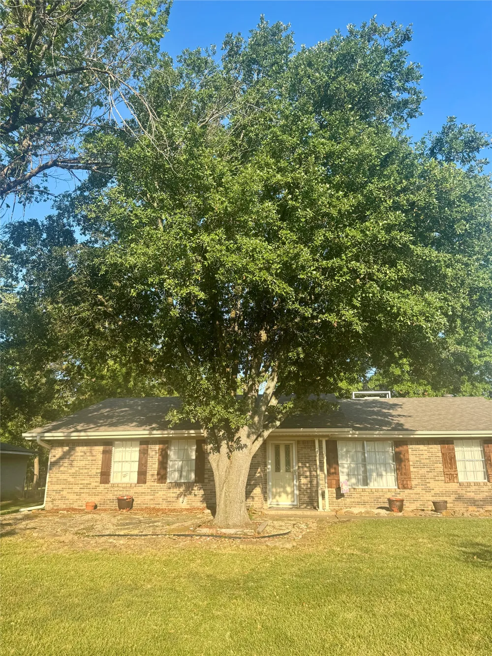 2601 S Park Street Commerce, TX 75428