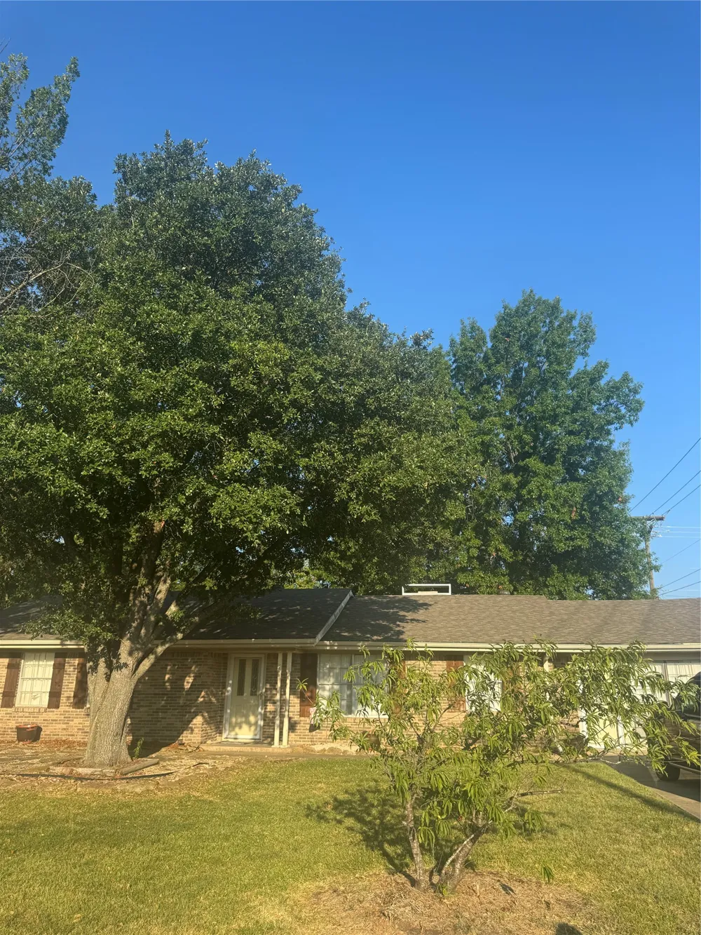 2601 S Park Street Commerce, TX 75428
