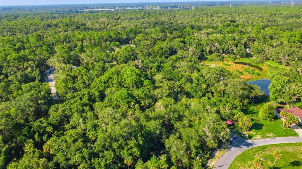 5983 BROOKGREEN DRIVE Crystal River, FL 34428
